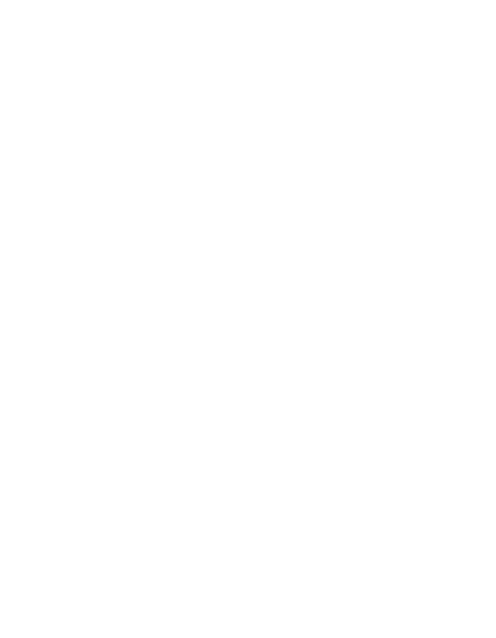 Brunel Esports